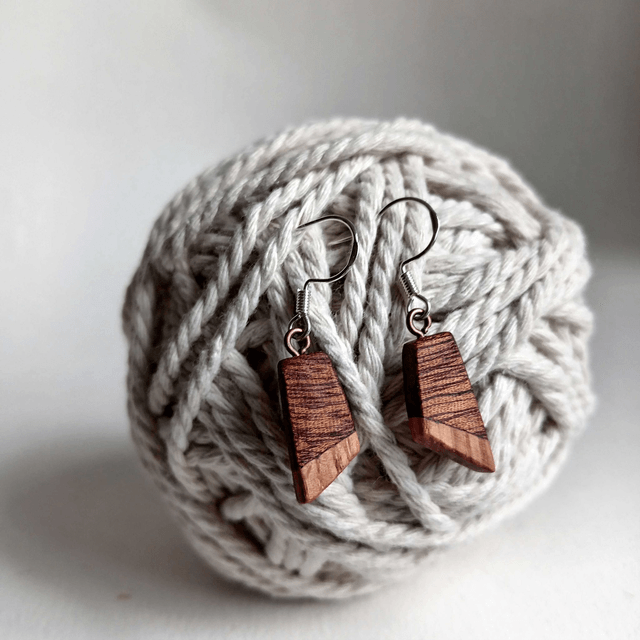 Boucles d'oreilles bicolores