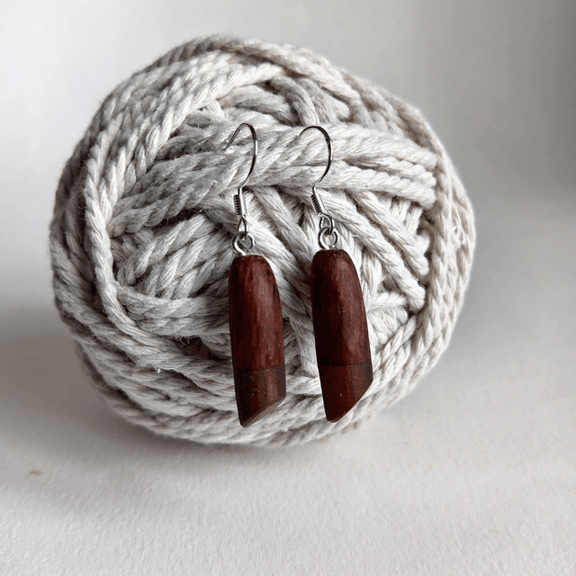 Boucles d'oreilles bicolores
