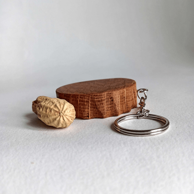 Décapsuleur porte clés capsule