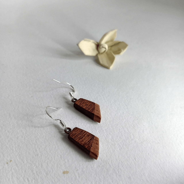 Boucles d'oreilles bicolores