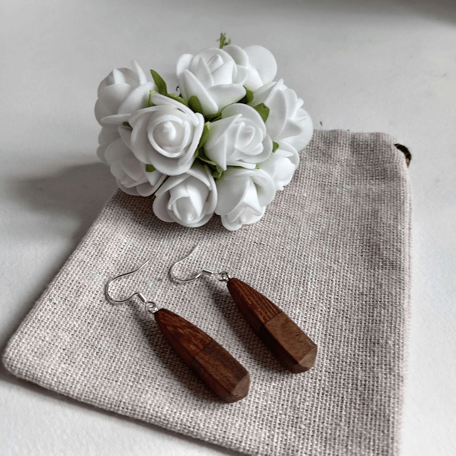 Boucles d'oreilles bicolores