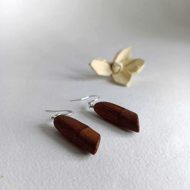 Boucles d'oreilles bicolores