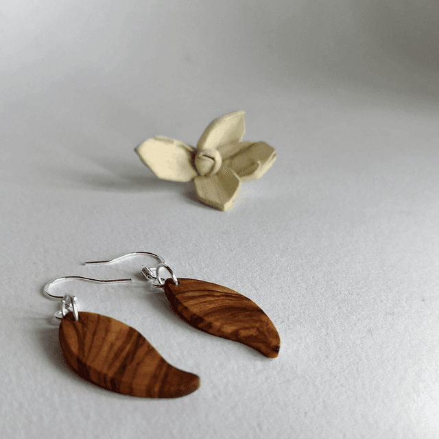 Boucles d&#039;oreilles 